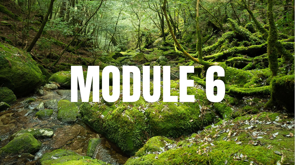 Module 6